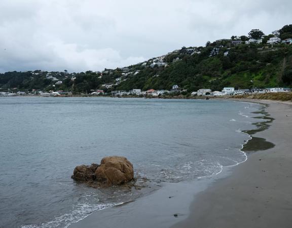 Worser Bay is a scenic inner-harbour beach popular with swimmers, dog walkers, and bridal couples. The large, sandy beach on the eastern side of Miramar Peninsula offers views of the Ororongorongo Range across the harbour, Steeple Rock, and Seatoun Beach.