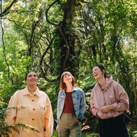 Three people walk along a forest trail beneath tall native trees and ferns in Ōtari-Wilton’s Bush, with sunlight filtering through the canopy.