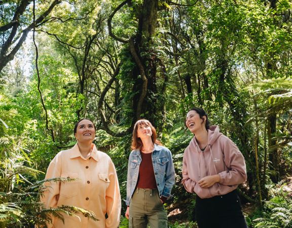 Three people walk along a forest trail beneath tall native trees and ferns in Ōtari-Wilton’s Bush, with sunlight filtering through the canopy.