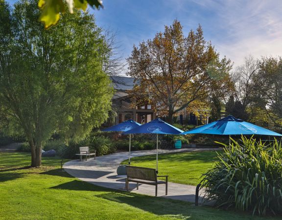 Outdoor seating area at Luna Estate with blue umbrellas