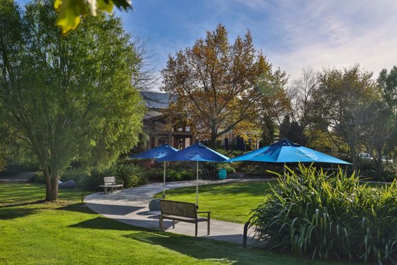 Outdoor seating area at Luna Estate with blue umbrellas