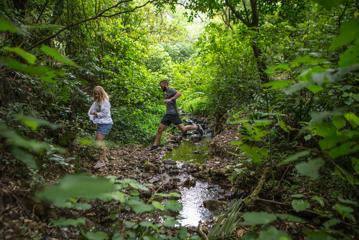 Two people hiking in the forest in East Harbour Regional Park. One is in mid-jump over a small creek.