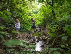 Two people hiking in the forest in East Harbour Regional Park. One is in mid-jump over a small creek.