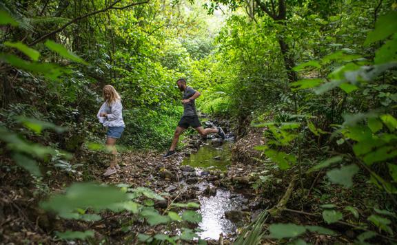 Two people hiking in the forest in East Harbour Regional Park. One is in mid-jump over a small creek.