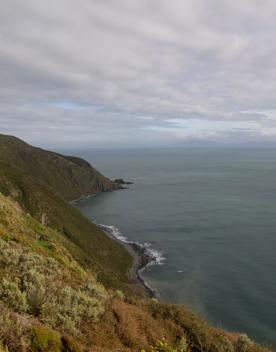 A short drive from the city is a stunning venue. Perched on a rugged coastline, it has sweeping views over the Cook Strait and the South Island.