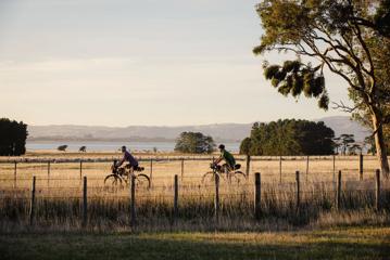 2 bikers cycling along the track next to the road, on the Western lake Road Section of the Remutaka Cycle Trail.