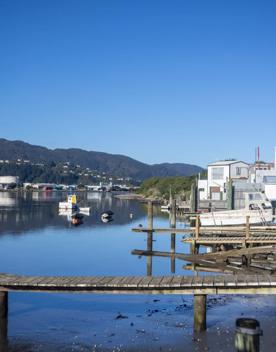 The Petone boat ramp, Hikoikoi,  with colourful boat sheds and boats in the morning sun.