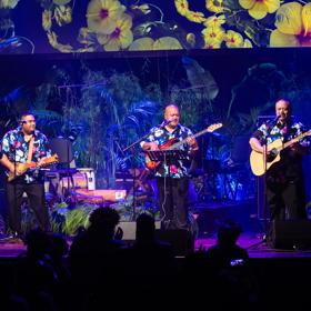 Musicians perform on stage as part of Avaiki Nui Social Returns.