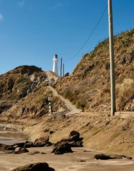 A concrete path leads up to Castlepoint lighthouse with powerlines overhead.