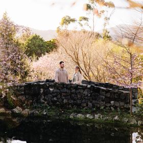Visitors on a stone bridge among cherry blossoms at Blossom Valley, Aston Norwood Gardens.