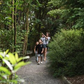 An adult and three children walk along the forest path at Ngā Manu Nature Reserve in Kāpiti Coast.