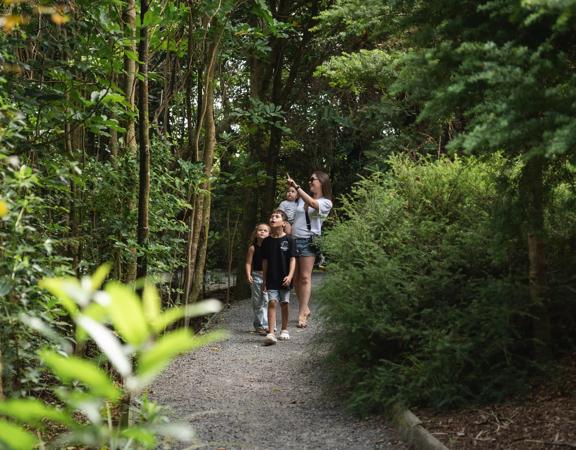 An adult and three children walk along the forest path at Ngā Manu Nature Reserve in Kāpiti Coast.