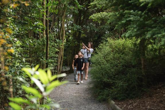 An adult and three children walk along the forest path at Ngā Manu Nature Reserve in Kāpiti Coast.