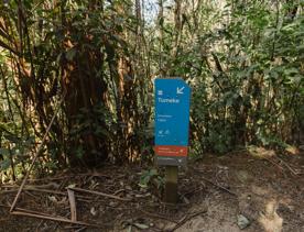 Blue sign post with that says Tumeke with an arrow pointing down.