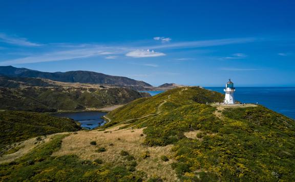 The Pencarrow Lighthouse located in Lower Hutt in the Wellington Region. It's a small, white lighthouse, surrounded by grassy hills with the bay visible in the background. 