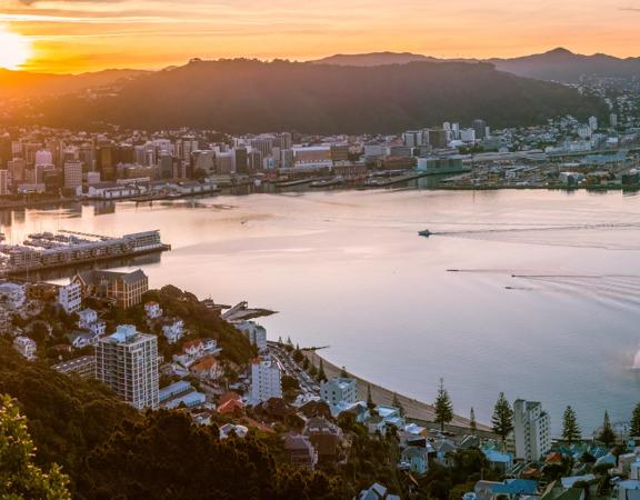 The view of Wellington and Oriental Bay from Mount Victoria lookout point at sunset. 