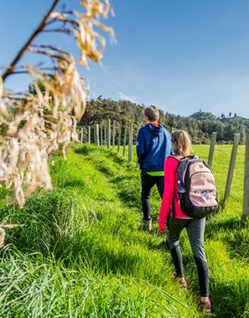 A family in neon clothing walks along the green fields of Access Track in Rewanui Forest Park.