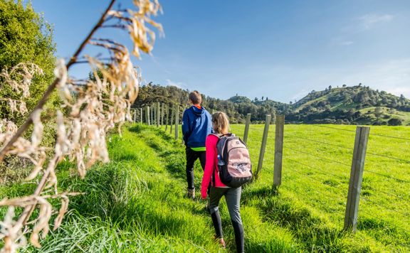 A family in neon clothing walks along the green fields of Access Track in Rewanui Forest Park.