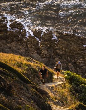 Two people walking down wooden steps on the Escarpment Track. The coastal road in the background has many cars on it, and nearby are large rocky outcrops on the shoreline.