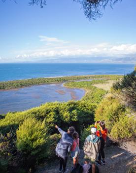 A family pointing out over the water of Kapiti island.