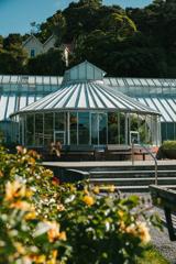 Looking through yellow rose bushes at the exterior of the Begonia House with a domed roof and long windows.