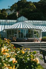 Looking through yellow rose bushes at the exterior of the Begonia House with a domed roof and long windows.
