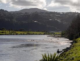 Ava railway bridge crossing over Hutt River