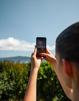 A person uses their smartphone to photograph the scenery while hiding Te Au Track at Hemi Matenda Scenic Reserve.