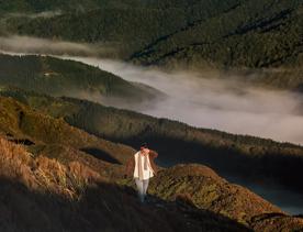 Mist sits in a forest valley, as the sun shines on the left-hand hill. A person walks along the track, shielding their eyes fro the sun.