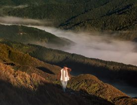 Mist sits in a forest valley, as the sun shines on the left-hand hill. A person walks along the track, shielding their eyes fro the sun.