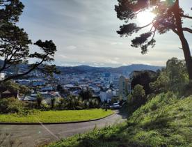 The former Mount Victoria Quarry site sits at the base of Wellington’s Town Belt and has views of the city.