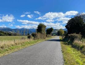 A road surrounded by farmland in Masterton.