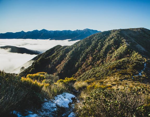 Rolling green mountain ranges with low lying fog, on a clear blue day. Mountain ranges in the background are dusted with snow.