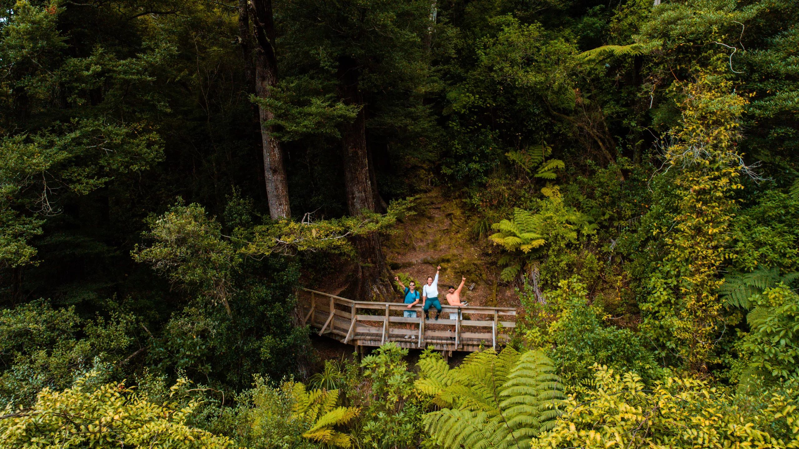 Three people are on a wooden bridge waving on Tane's Track, a walking trail in Upper Hutt, Hutt Valley. They are surrounded by lush greenery.