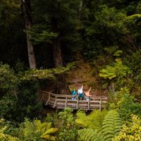 Three people are on a wooden bridge waving on Tane's Track, a walking trail in Upper Hutt, Hutt Valley. They are surrounded by lush greenery.