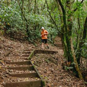 David Haunschmidt doing a trail run in an orange t shirt, surrounded by native forest.