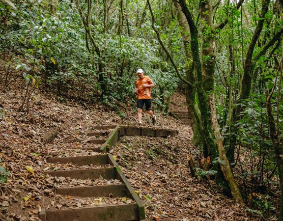 David Haunschmidt doing a trail run in an orange t shirt, surrounded by native forest.