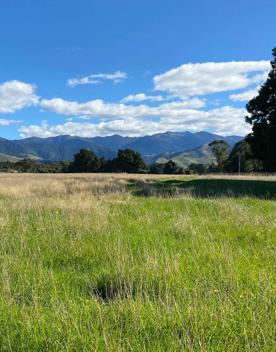 Farmland in Masterton.