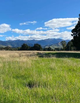 Farmland in Masterton.