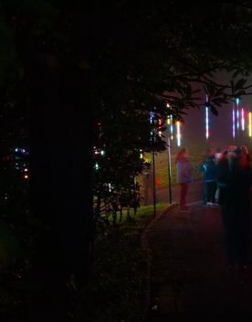 Light Cycles, an illuminating outdoor experience from Moment Factory, at Wellington Botanic Garden ki Paekākā.