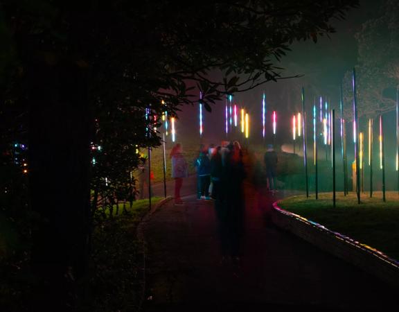 Light Cycles, an illuminating outdoor experience from Moment Factory, at Wellington Botanic Garden ki Paekākā. 