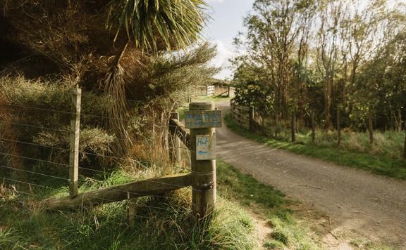 The Ti Kouka loop in Whareroa Farm a grassy trail up a small hill with views of the bush.