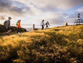 The view from the summit of Belmont Trig Track, a biking and walking trail in Lower Hutt.