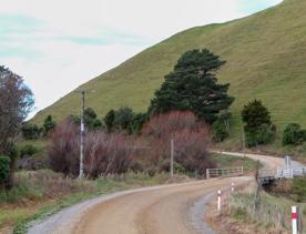 The Kiriwhakapapa Road Tararua Forest Park screen location, featuring walking trails and campsite opportunities in wild, natural landscapes.