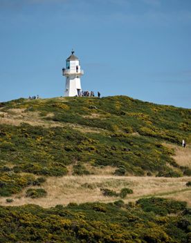The trail around Pencarrow Lakes and Eastbourne Lighthouse. Green hills meet with the blue ocean and lakes, and the white lighthouse is in the distance.