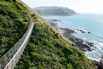 The suspension bridge on Escarpment Track, a hiking trail that runs from Paekākāriki to Pukerua Bay, with views of the spectacular Kāpiti Coastline and Kapiti Island.