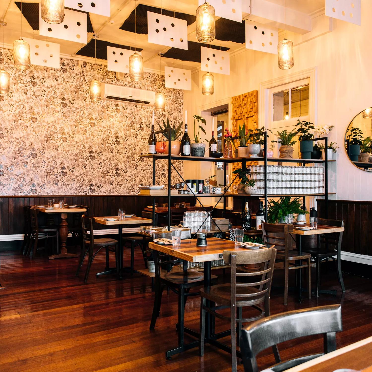 The interior of Daisy's in Thorndon. The warm lighting, numerous plants, and hardwood floors feel welcoming.