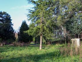 Mangaroa Valley Road screen location, a scenic rural setting with native forest, farmland, and a mountainous backdrop.