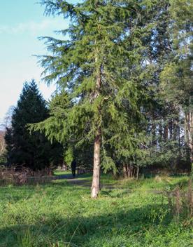 Mangaroa Valley Road screen location, a scenic rural setting with native forest, farmland, and a mountainous backdrop.