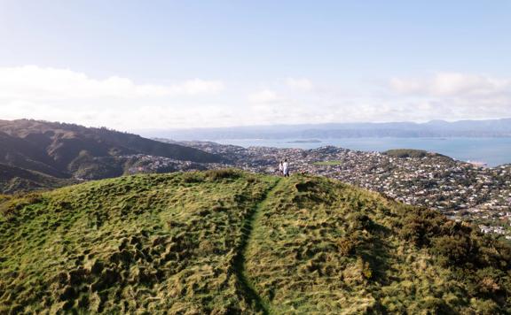 A grassy hilltop on The Skyline Walkway trail with a view of Wellington harbour in the background.